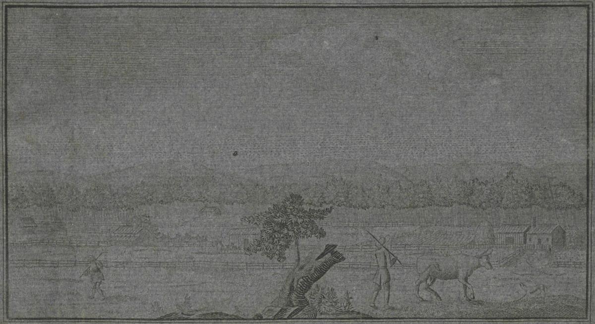 1976.0090 Print, image