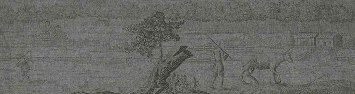 1976.0090 Print, detail 3