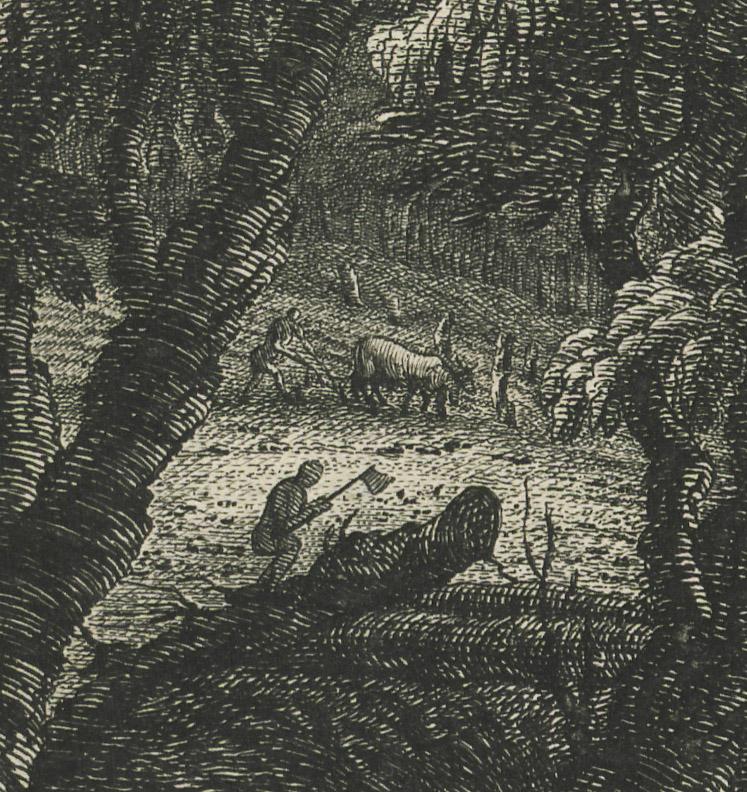 1976.0099 Print, detail 4
