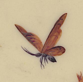 1976.0142 Card, Detail 4