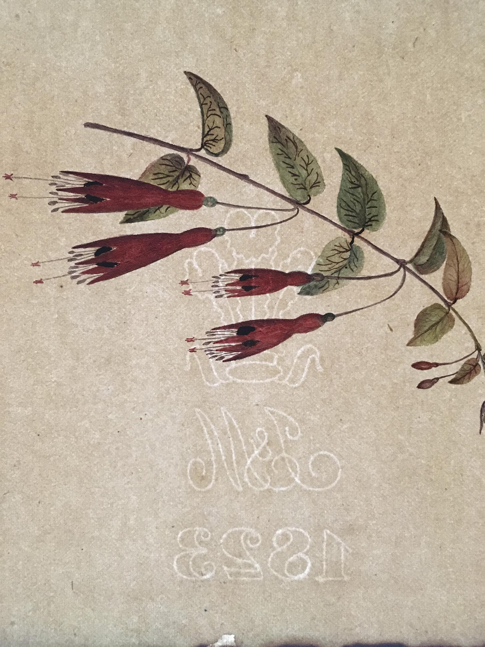 1976.0144.001 Drawing, watermark