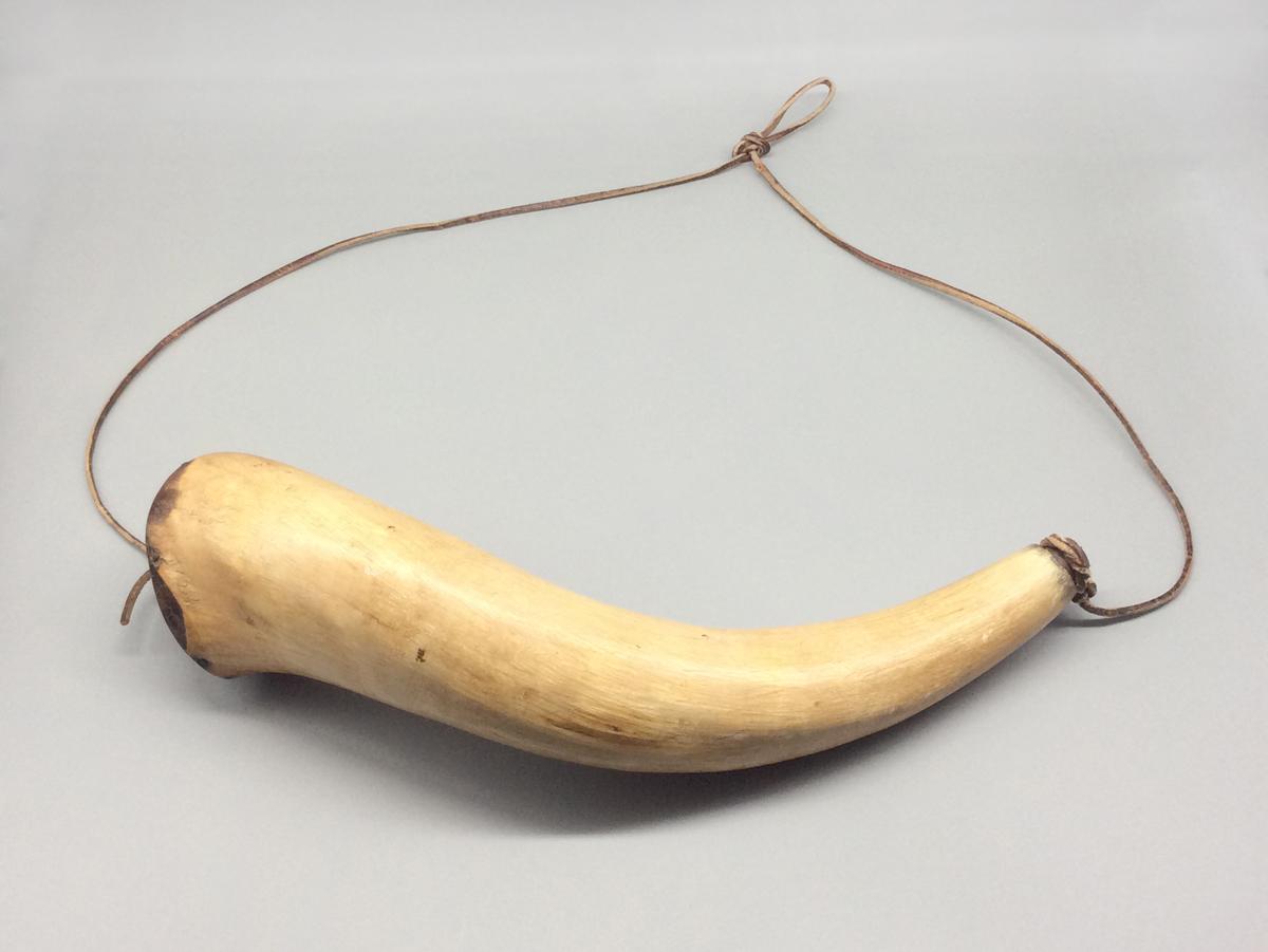 1976.0175 Powder horn, view 5