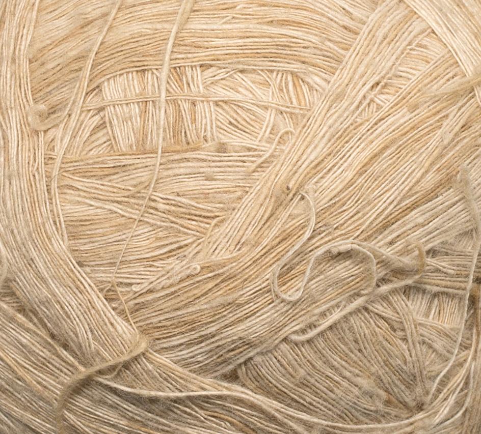 1976.0181.002 Yarn, Detail