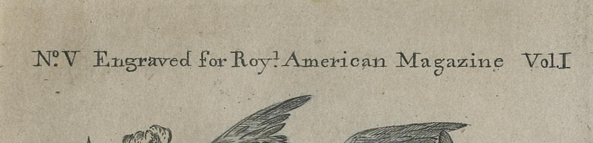 1976.0238 Print, detail 4