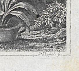 1976.0282.008 Print, Detail 5