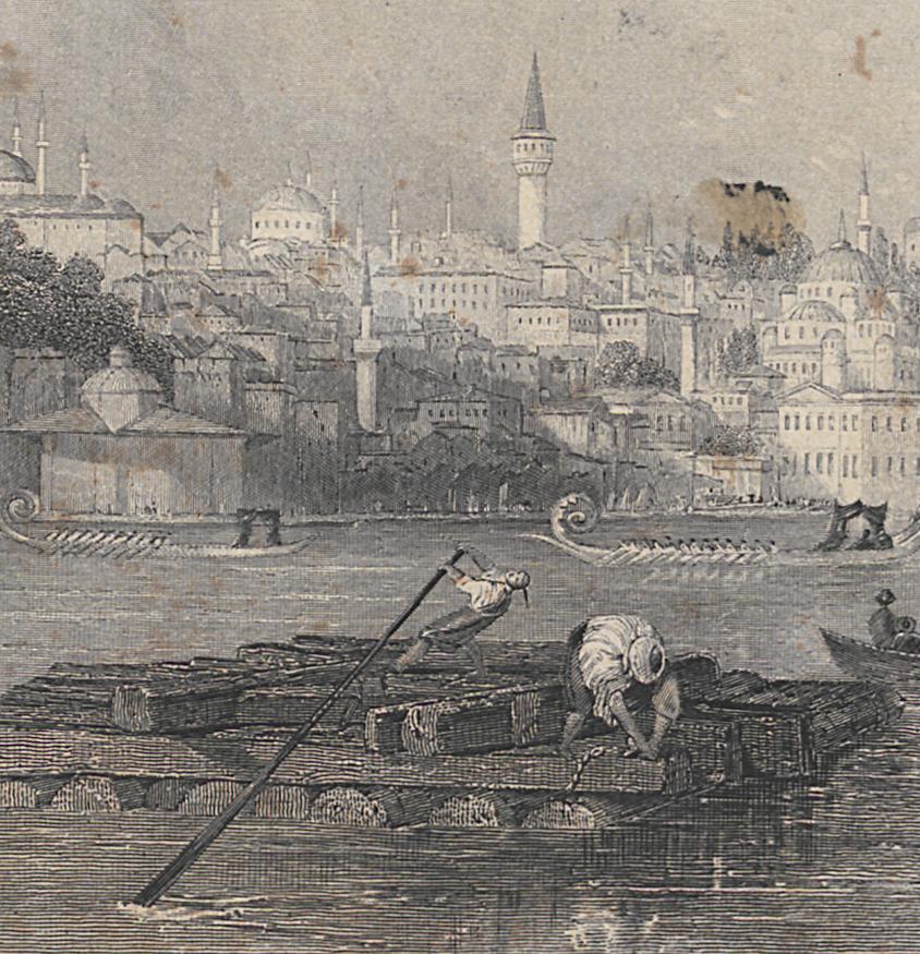 1976.0282.010 Print, Detail 3