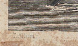 1976.0282.010 Print, Detail 4