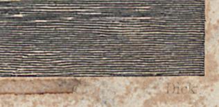 1976.0282.010 Print, Detail 5