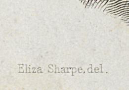 1976.0282.014 Print, Detail 5
