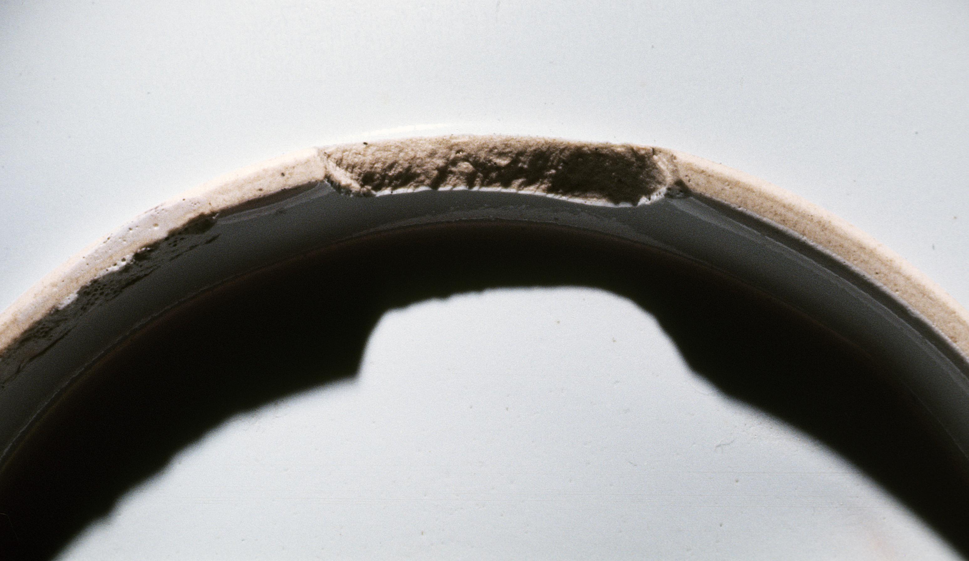 1976.0318 Bowl, Loss Detail
