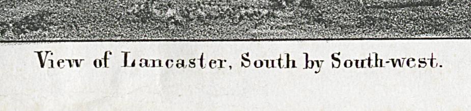 1977.0124 Print, Detail 4