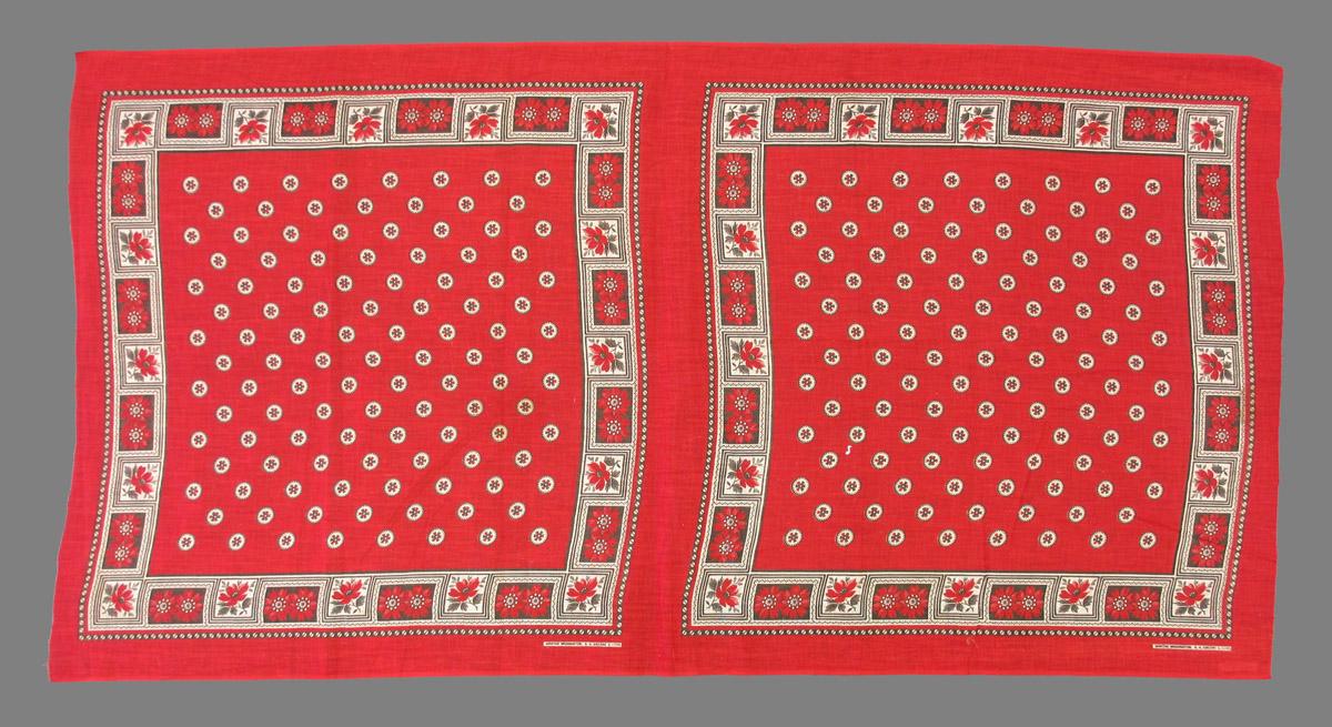 1977.0144 textile, printed obverse