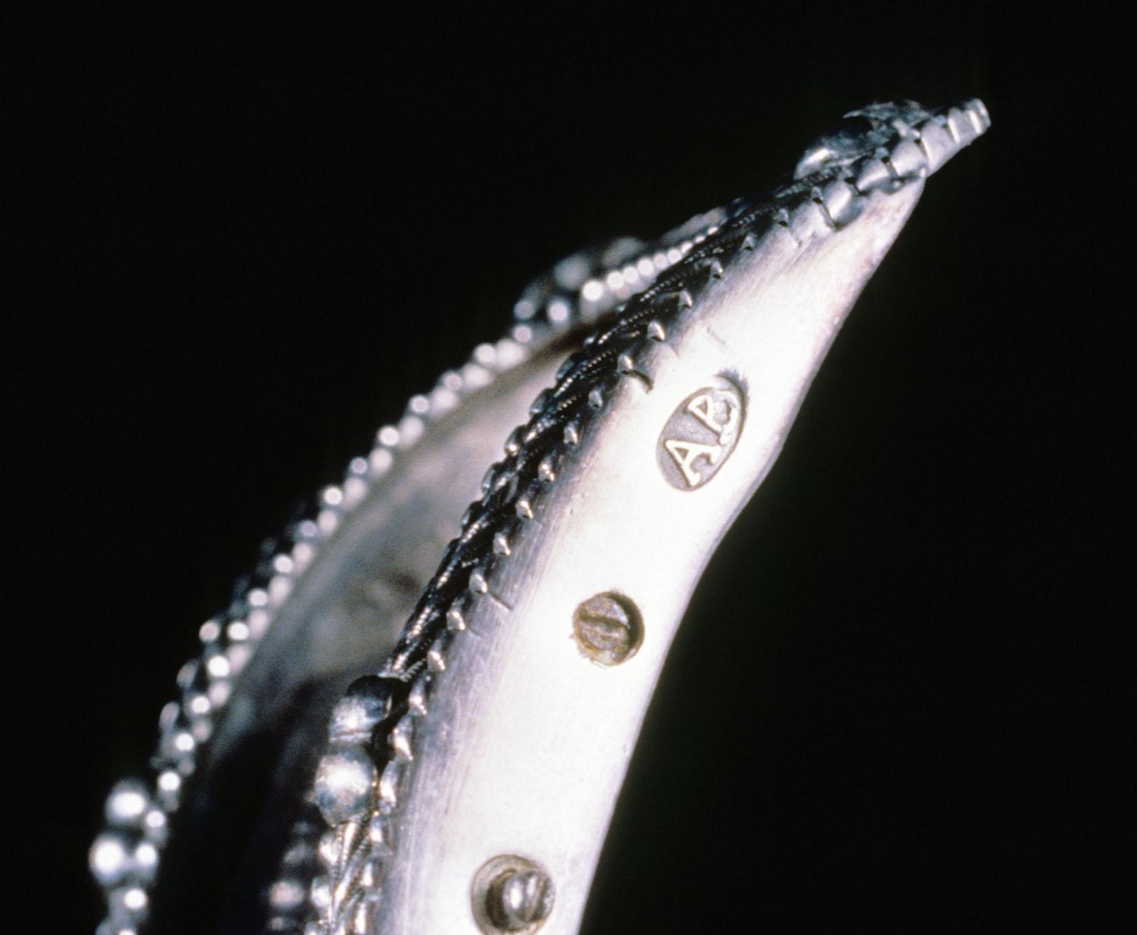 1977.0169.002 Buckle, Shoe Buckle, detail 1