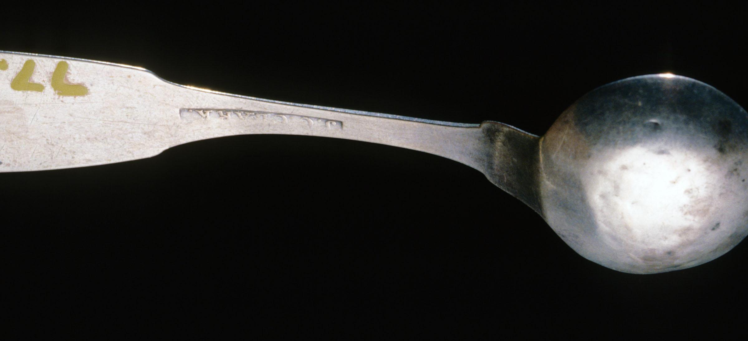 1977.0201 Spoon, Salt Spoon, detail 1