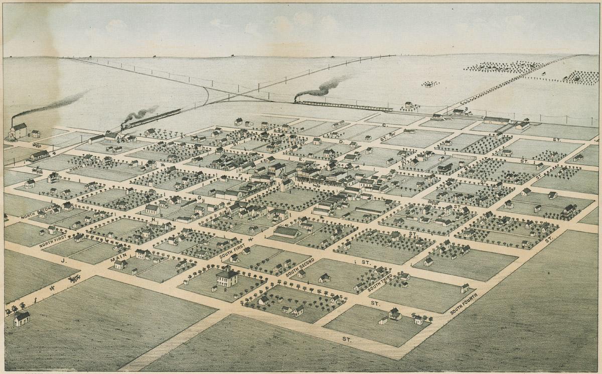1977.0207 Print, image