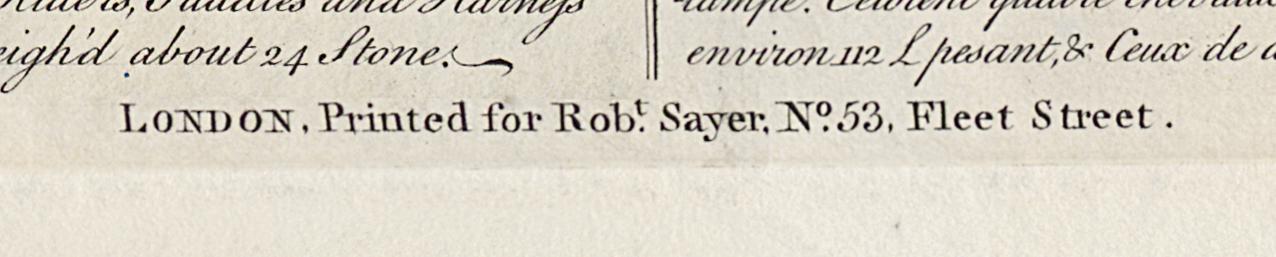 1977.0213 Print, Detail 10