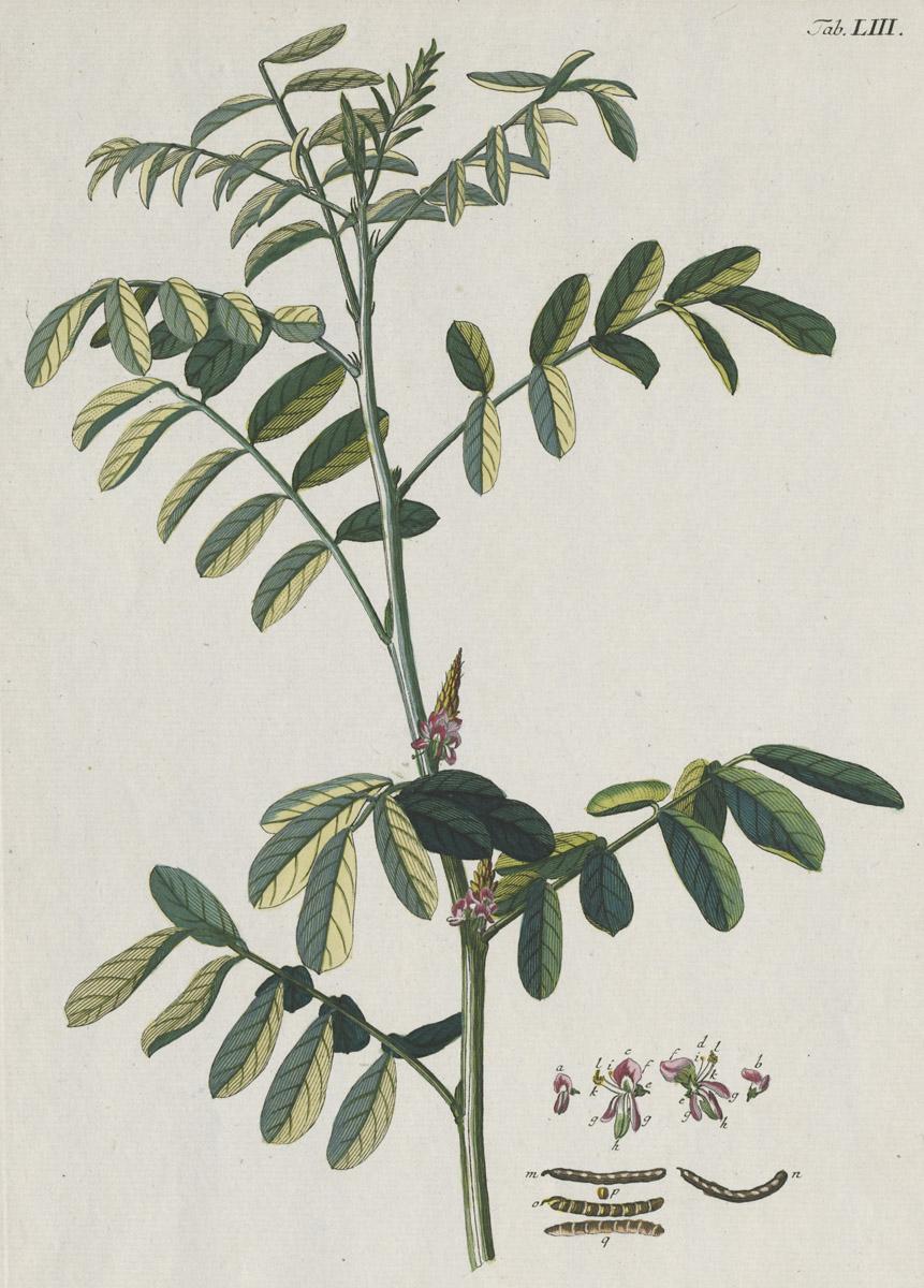 1978.0038.001 Print, image