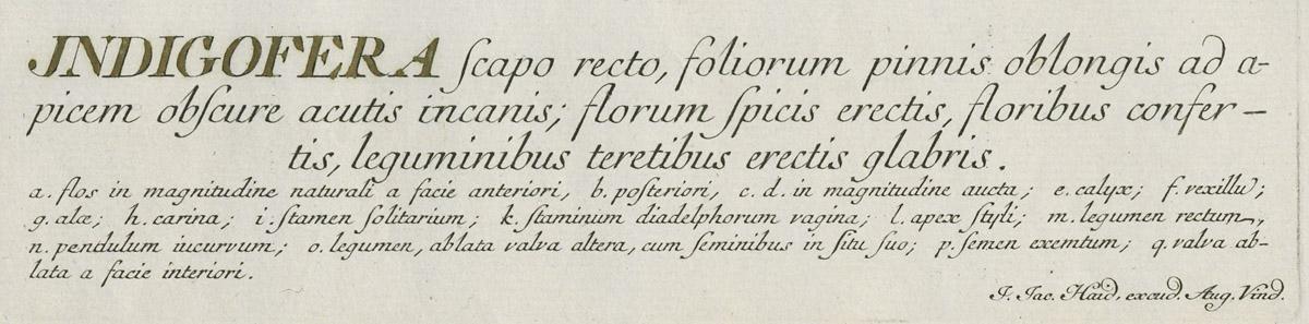 1978.0038.001 Print, detail 1