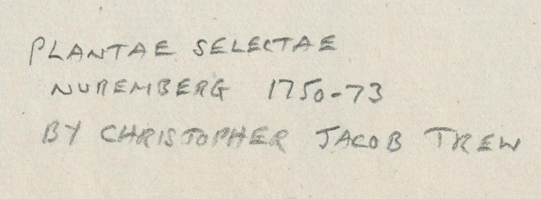 1978.0038.001 Print, detail 2