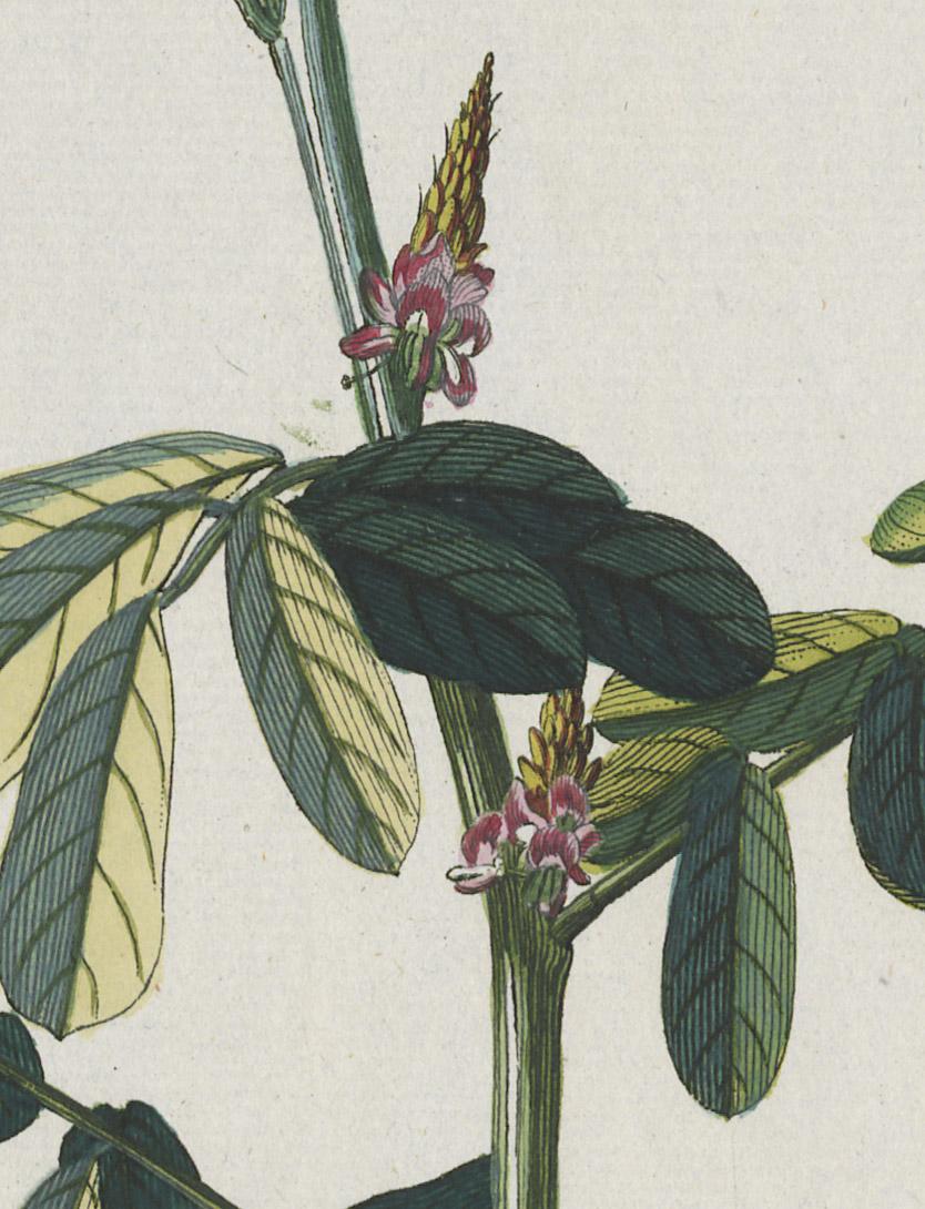 1978.0038.001 Print, detail 6