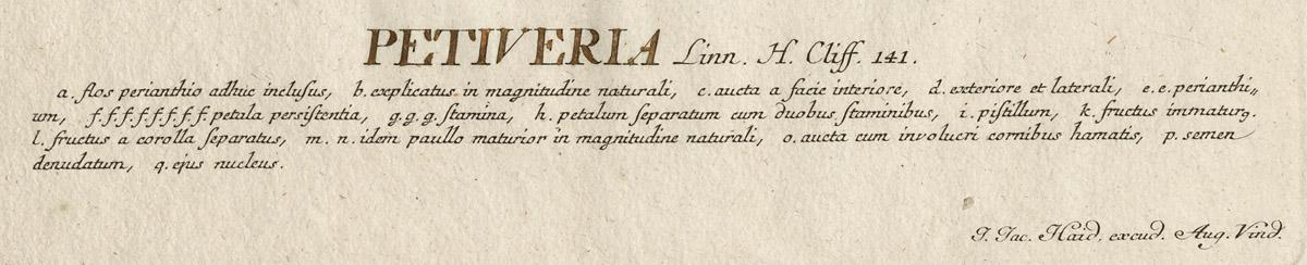 1978.0038.002 Print, detail 1
