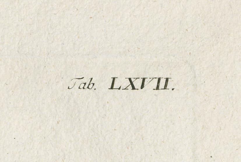 1978.0038.002 Print, detail 2