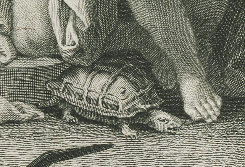 1978.0051 Print, detail 4