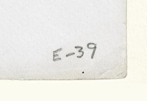 1978.0064.002 Print, detail 6