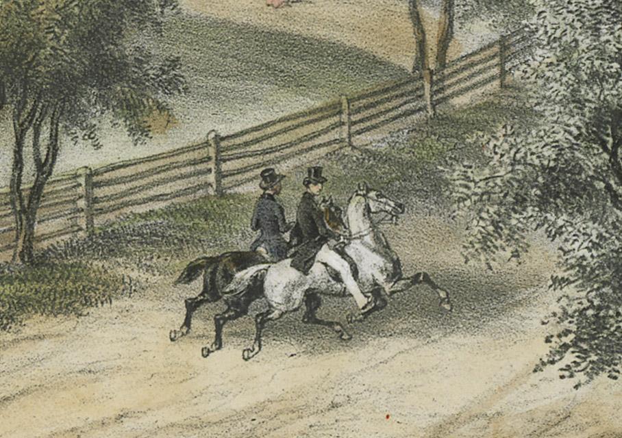 1978.0064.002 Print, detail 8