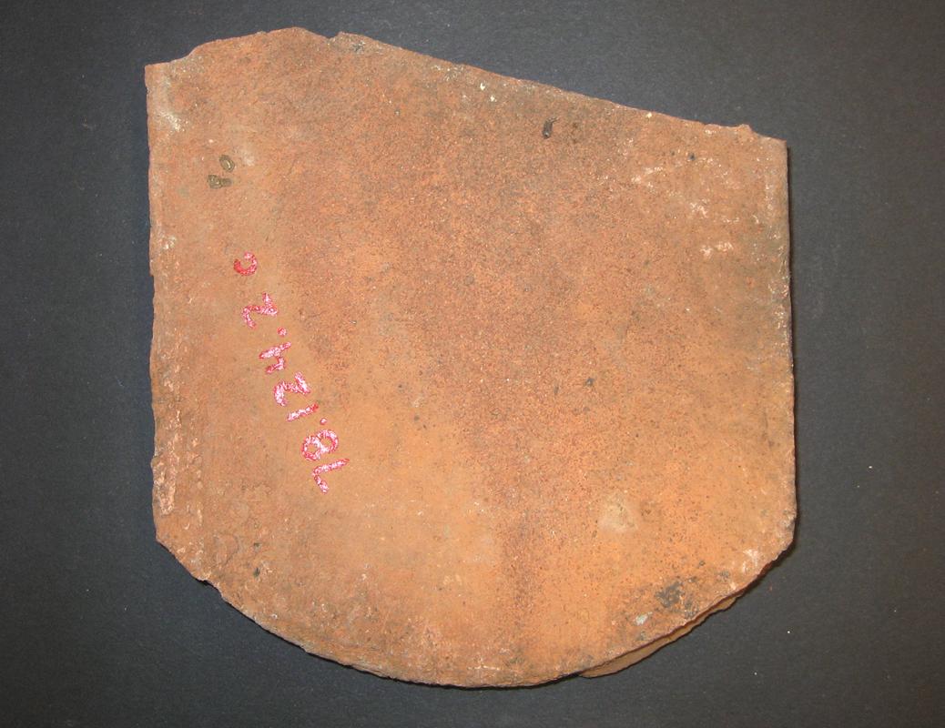1978.0124.002 C (underside)