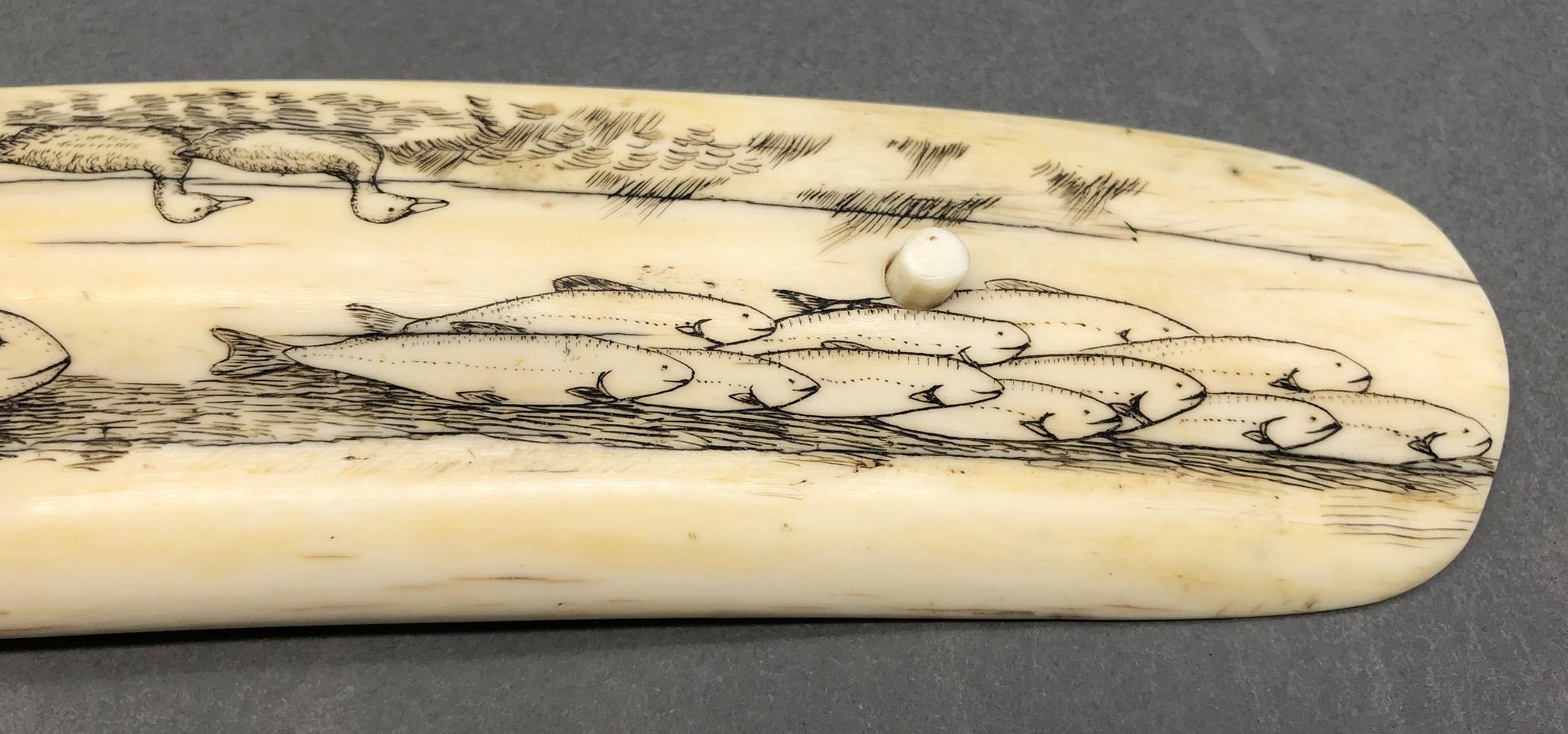 1978.0165 Cribbage board, Scrimshaw game board, view10 Reverse detail