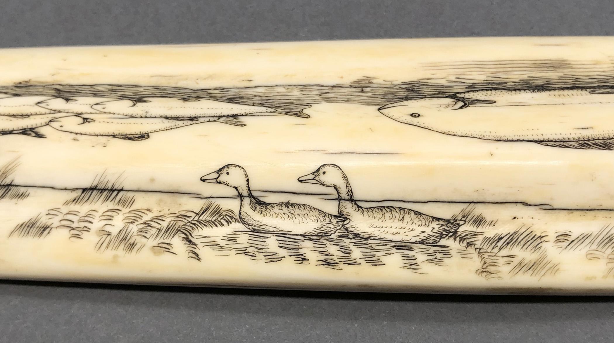 1978.0165 Cribbage board, Scrimshaw game board, view12 Reverse detail