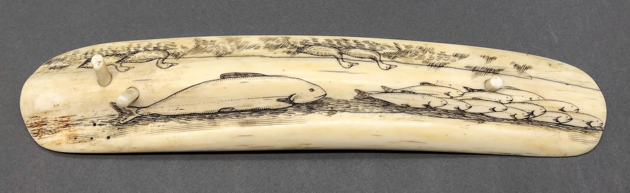 1978.0165 Cribbage board, Scrimshaw game board, view8 Reverse