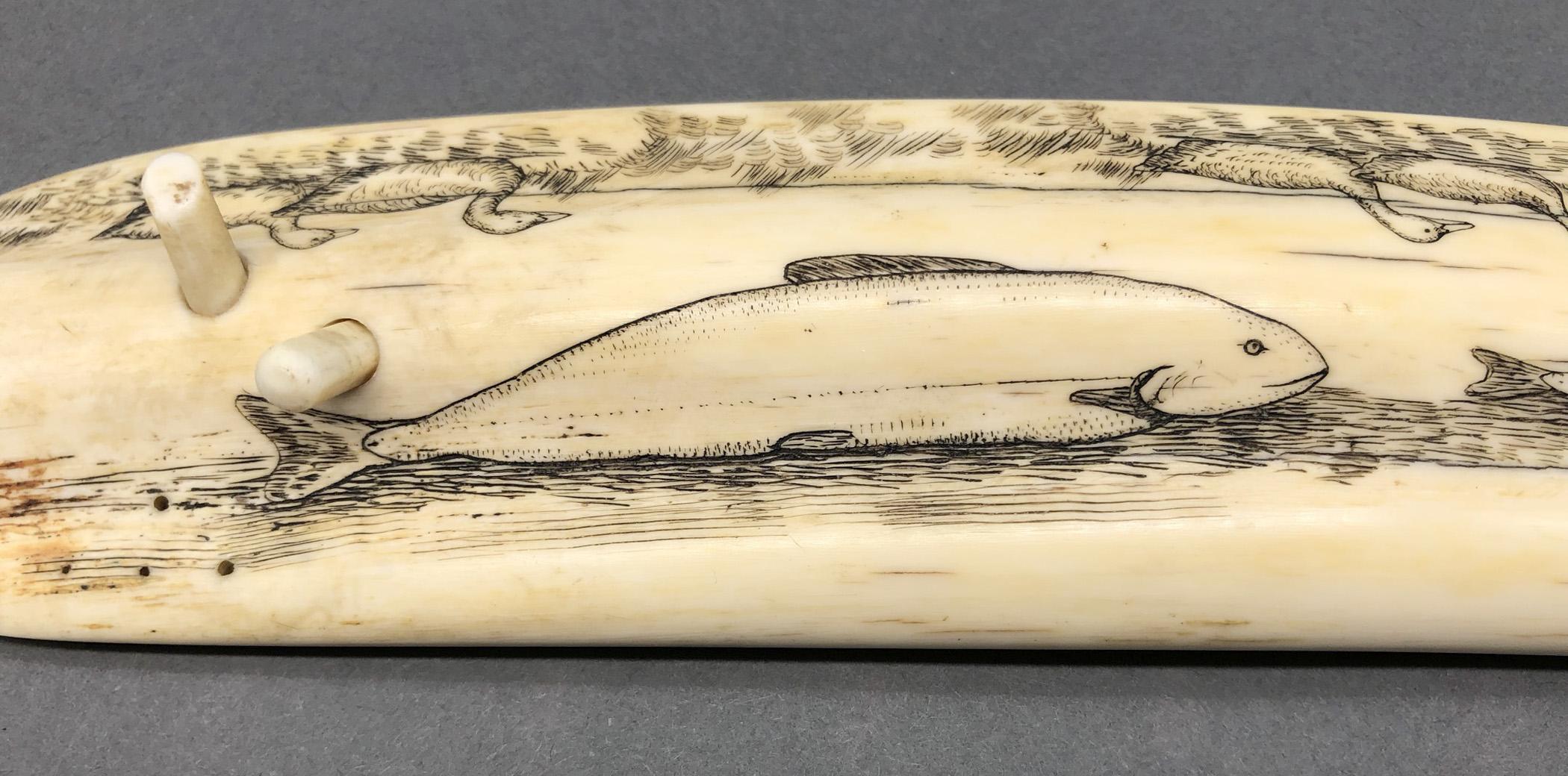 1978.0165 Cribbage board, Scrimshaw game board, view9 Reverse detail