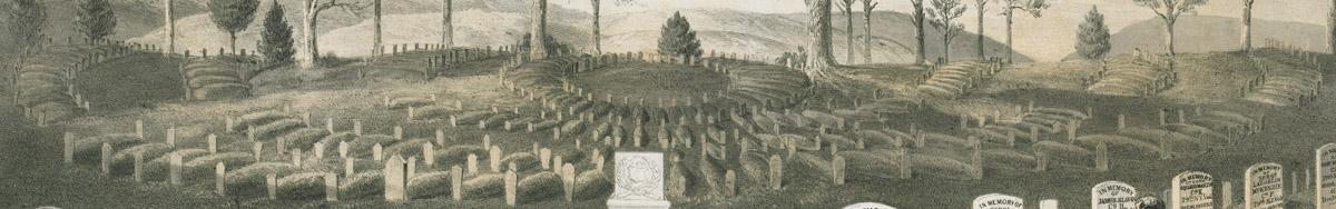 1978.0206 Print, detail 6