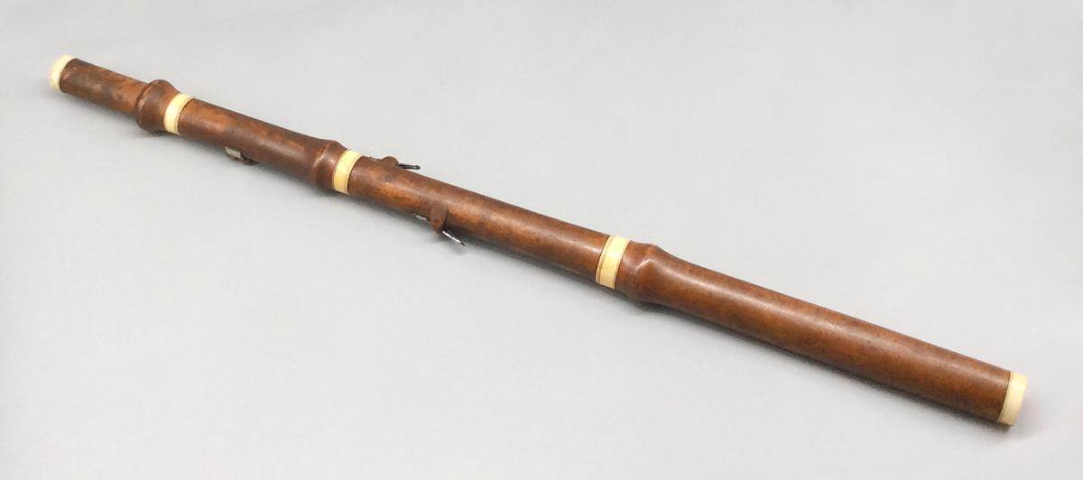 1979.0029.001 Flute, view 2