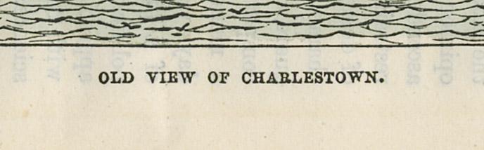 1979.0050 Print, detail 3