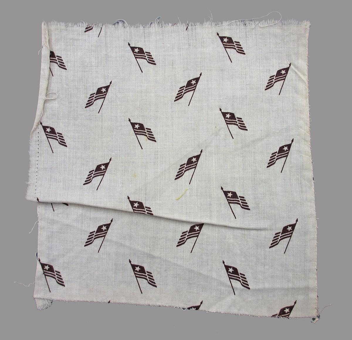 1979.0058.067 A textile, printed obverse