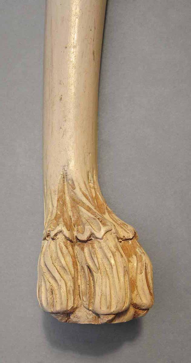 1979.0066.008, Leg, foot detail