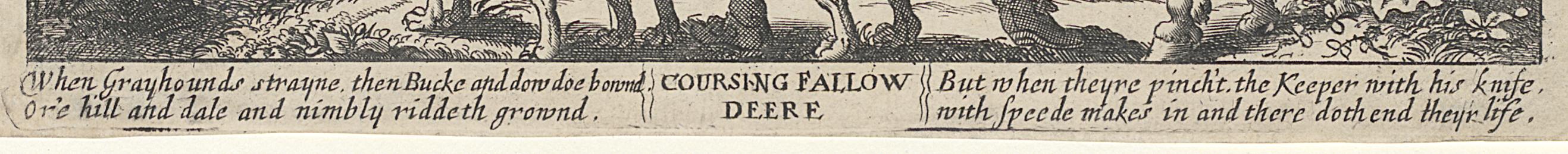 1979.0148 Print, Detail 4