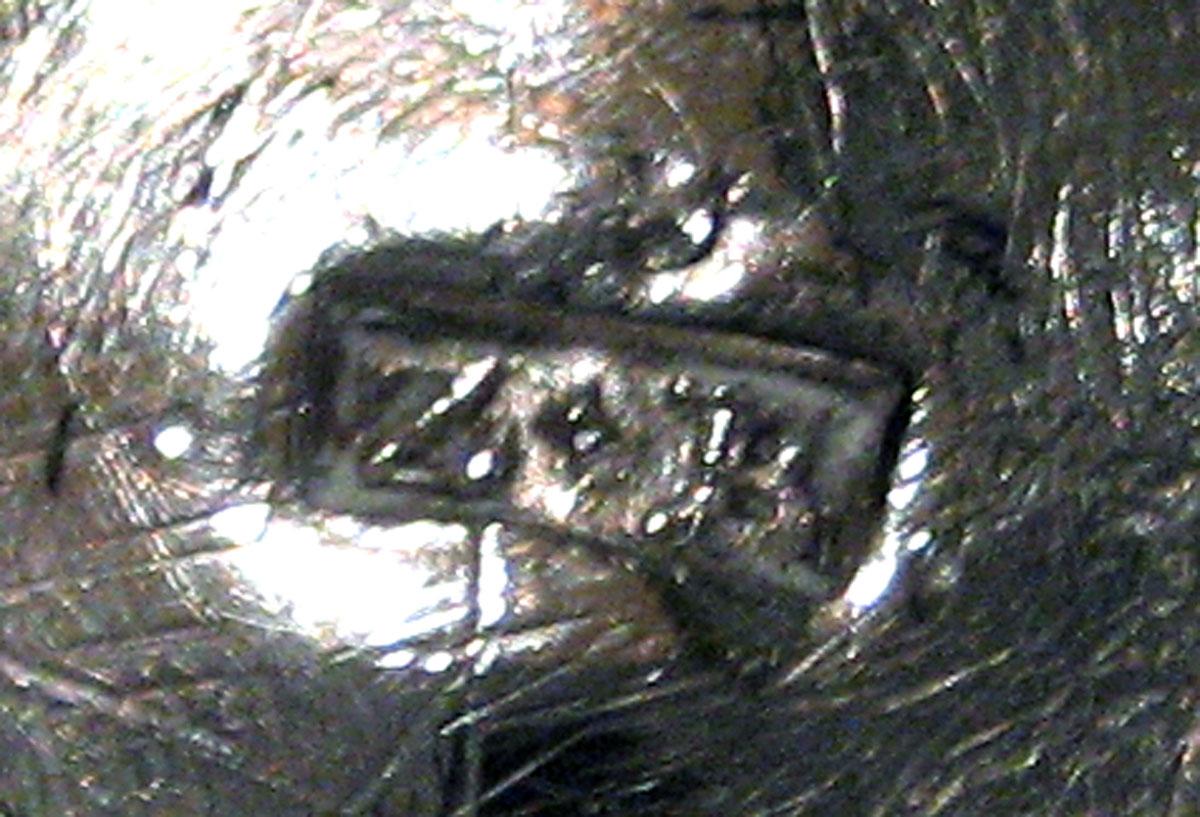 1979.0200 A, B Silver Caster mark