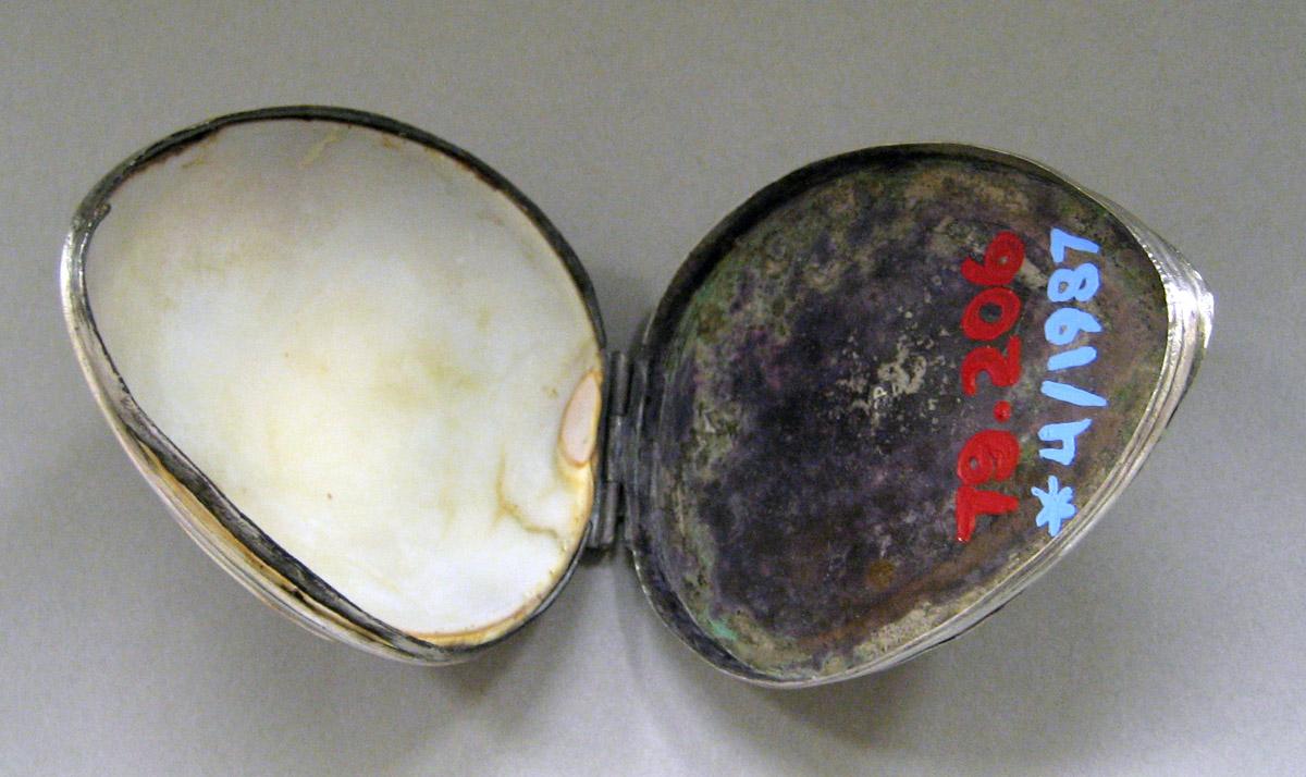 1979.0206 Cowrie Shell Box interior
