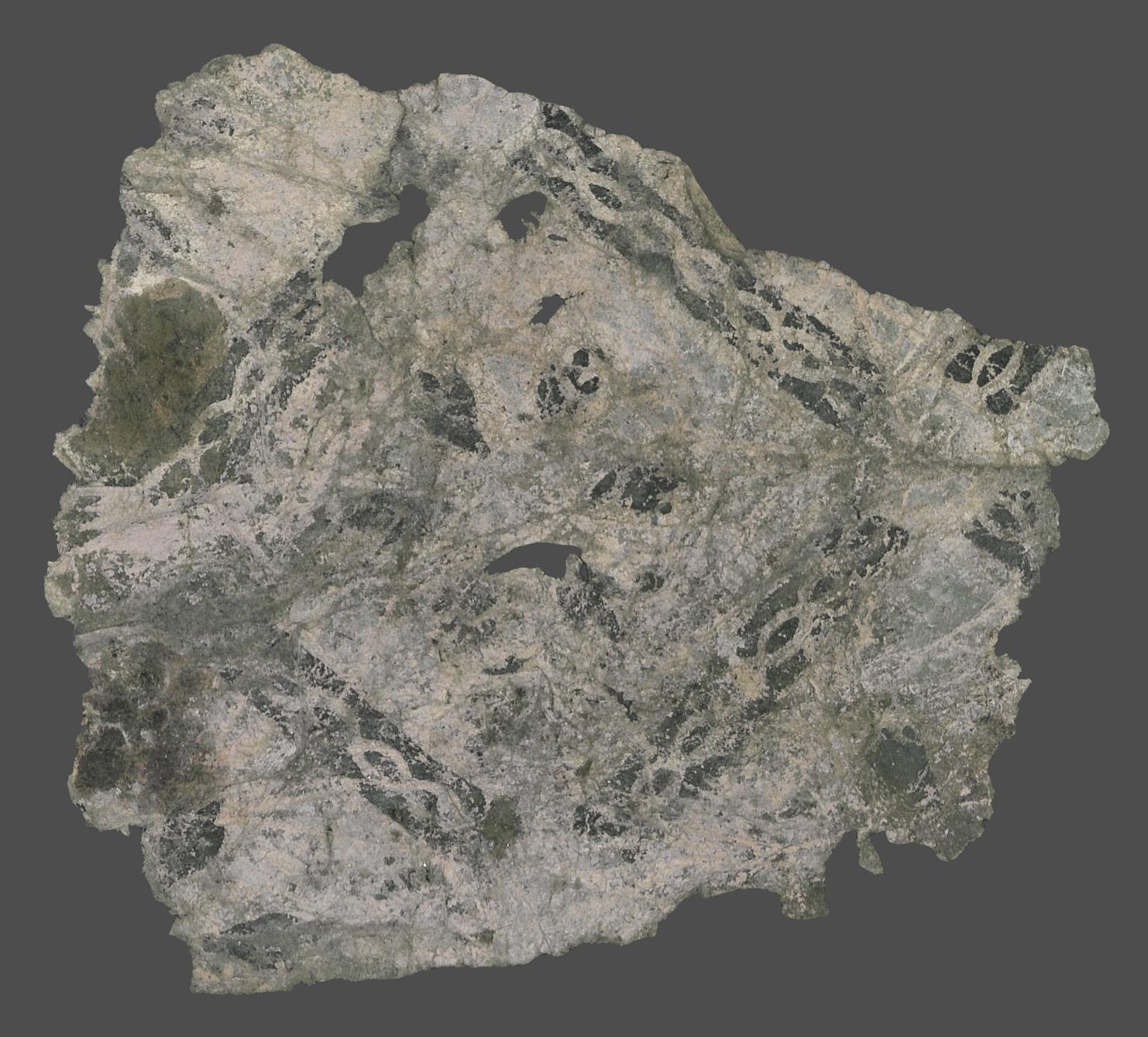 1980.0043 Wall covering, Fragment 4, piece 2