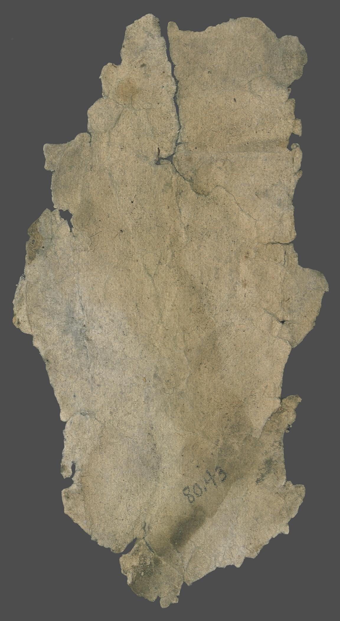 1980.0043 Wall covering, Fragment 6, piece 2, reverse