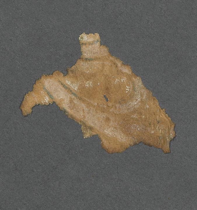 1980.0044.002 Wall covering, Fragment 4, reverse