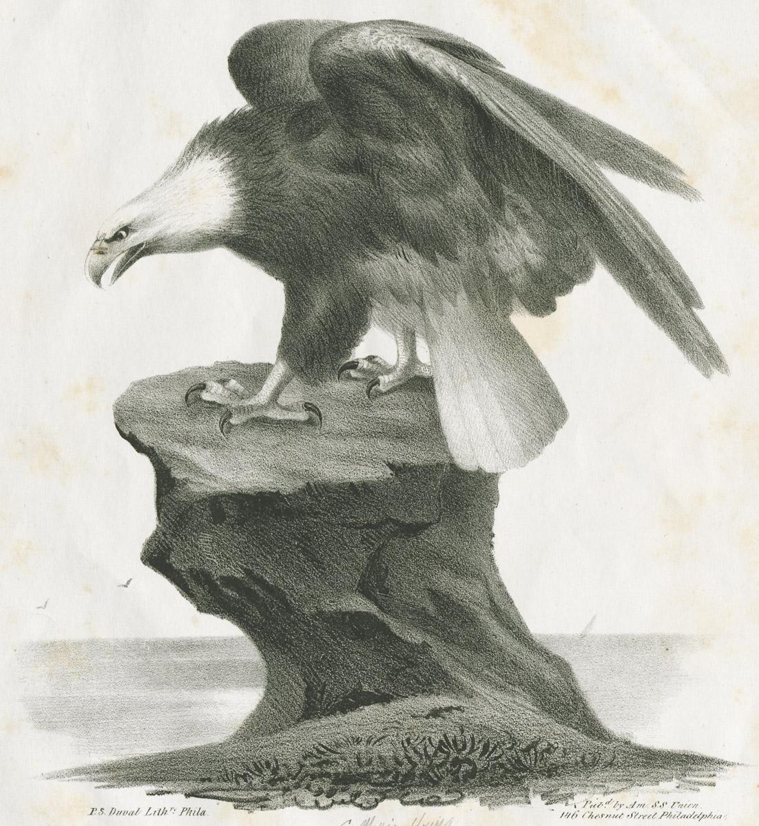 1980.0086 Print, image