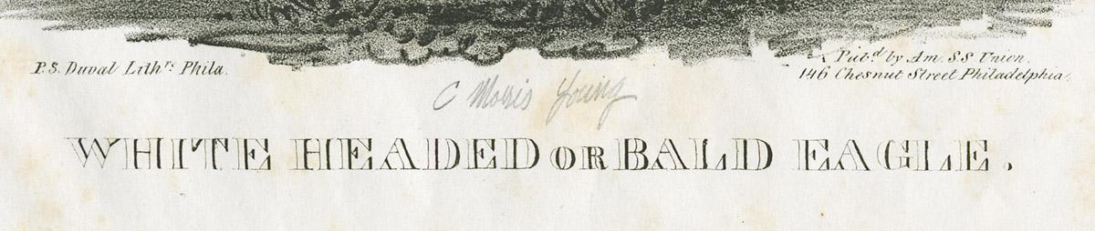 1980.0086 Print, detail 1