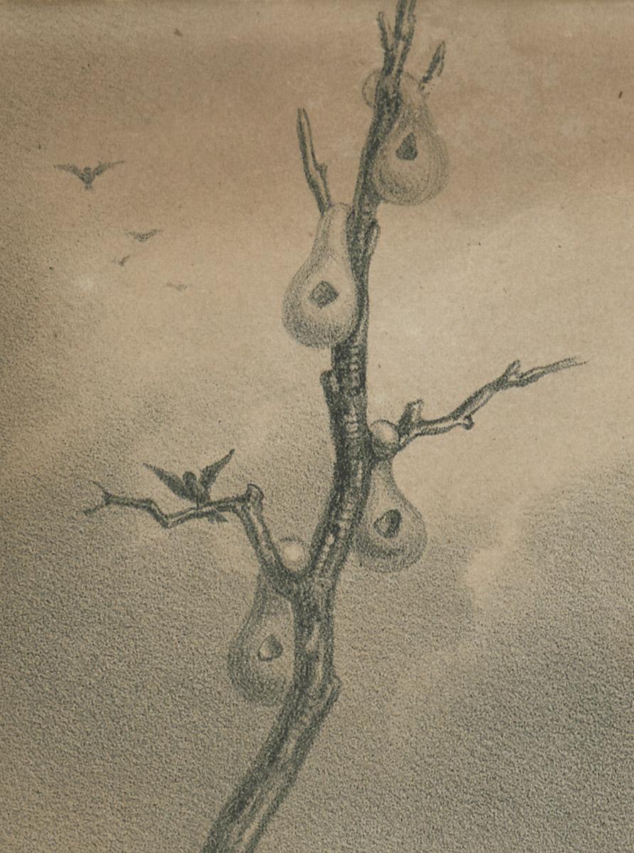 1980.0087 Print, detail 6