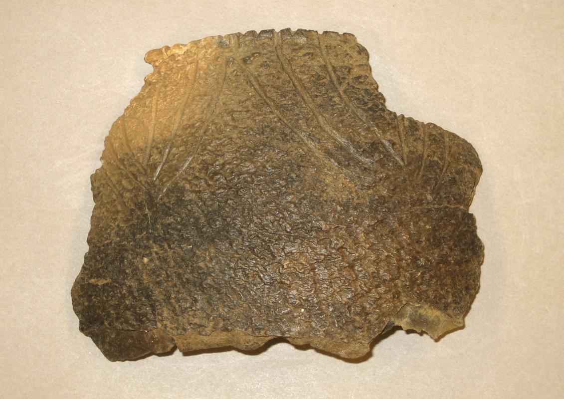 1980.0123.017 Ceramic fragment