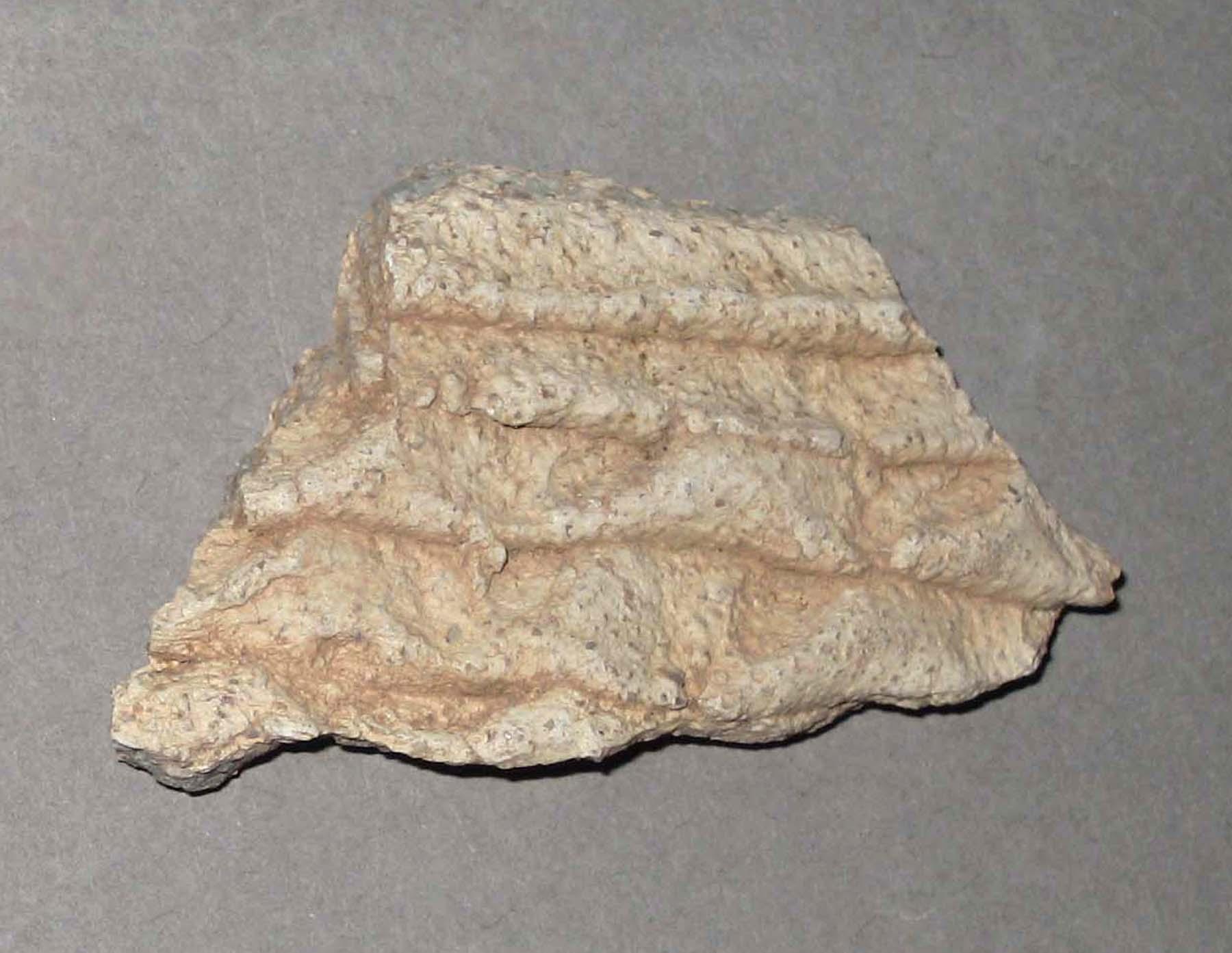 1980.0124.005 Earthenware fragment